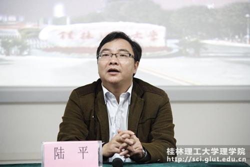 公司党委书记陆平讲话